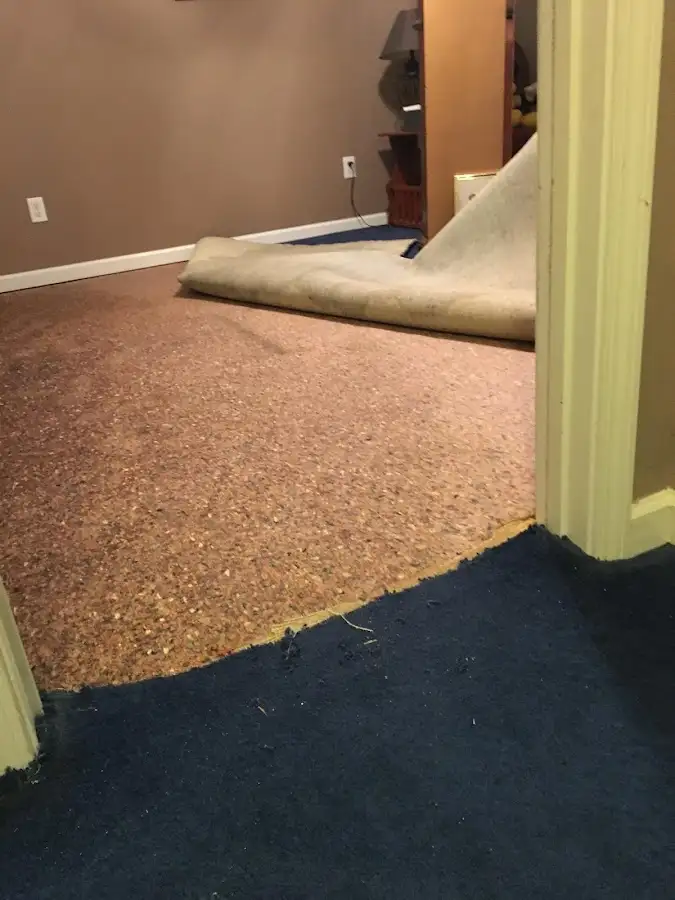 Carpet pad removal revealing water damage during Water Mitigation Services in Gardnerville Ranchos
