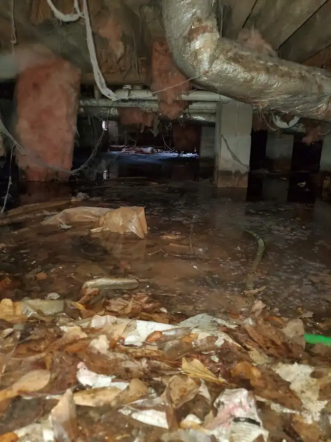 Crawl space flood assessment for Commercial Water Damage Restoration in Gardnerville Ranchos